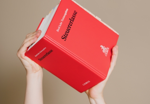 Buch Steuererlasse